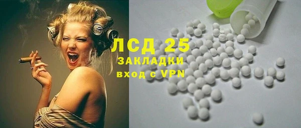 гашик Алексин