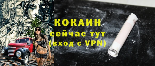 шишки Няндома