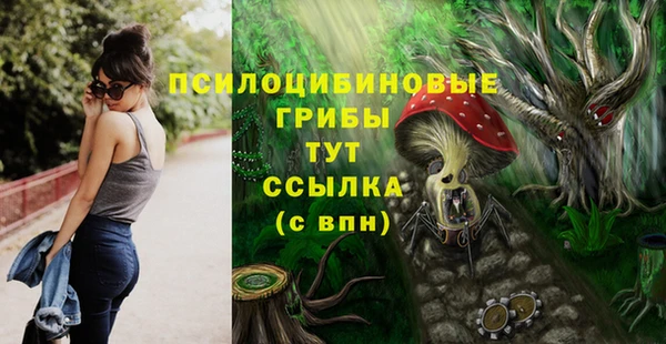дмт Алексеевка