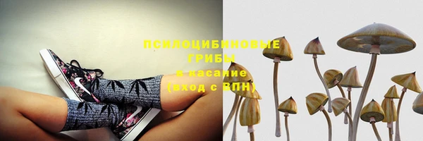 гашик Алексин