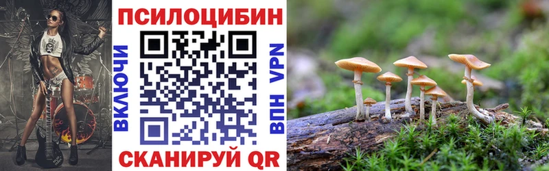 Псилоцибиновые грибы Psilocybe  Конаково 