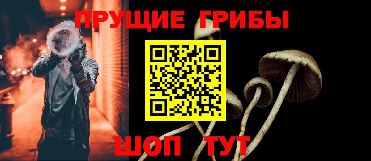 Псилоцибиновые грибы GOLDEN TEACHER  Псилоцибиновые грибы Magic Shrooms  Вход с VPN  Конаково 